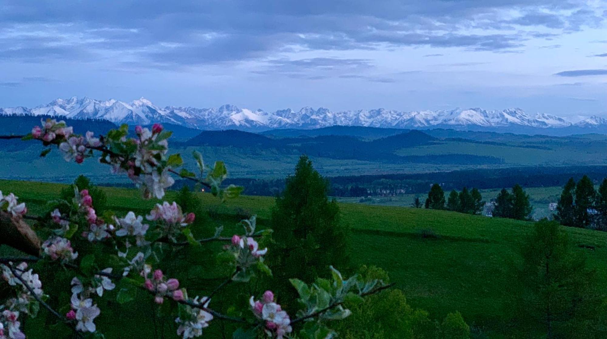 Koza U Woza Wypocznij W Gorach W Rytmie Slow Drewniany Dom Premium Z Widokiem Na Panorame Tatr Ecospa Strefa Fitness Zielona Farma Warsztaty (Adults Only) Szlembark Ngoại thất bức ảnh