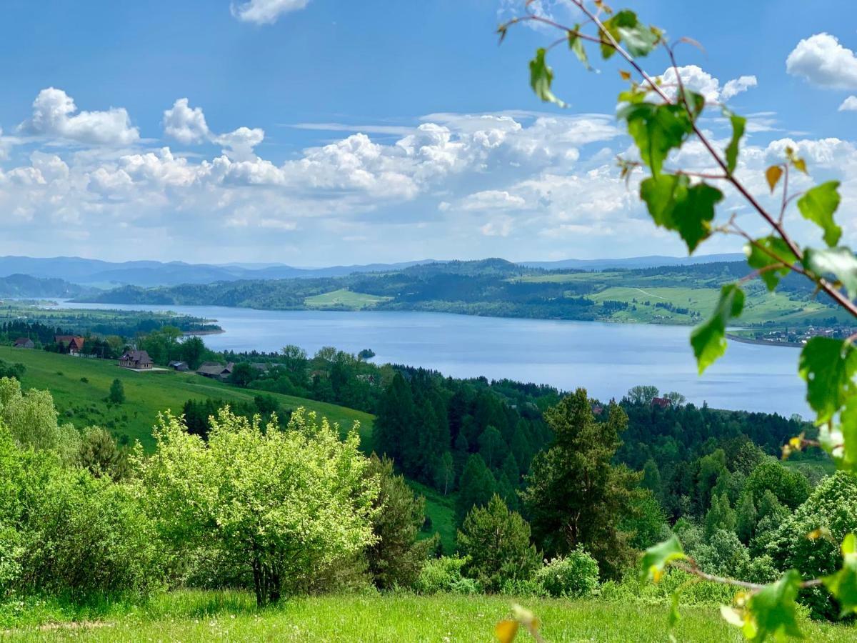 Koza U Woza Wypocznij W Gorach W Rytmie Slow Drewniany Dom Premium Z Widokiem Na Panorame Tatr Ecospa Strefa Fitness Zielona Farma Warsztaty (Adults Only) Szlembark Ngoại thất bức ảnh